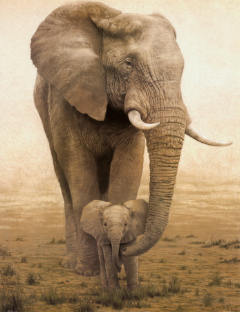 Momma
