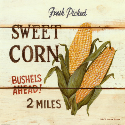 Fresh Picked Sweet Corn Art Print