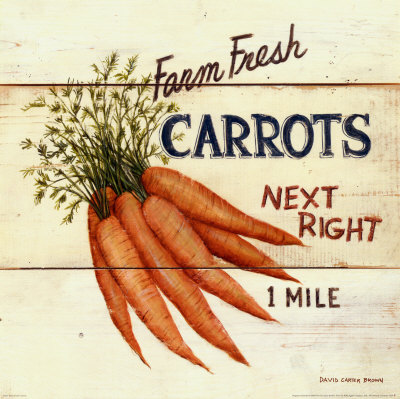 Farm Fresh Carrots Art Print