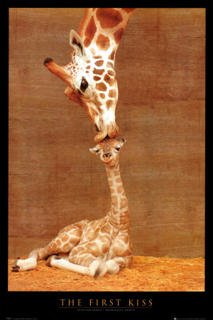 Buy The First Kiss at AllPosters.com