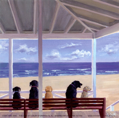 Dogs Eyeview