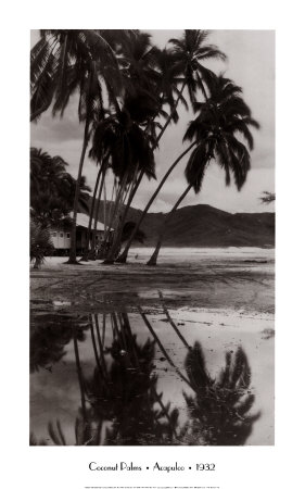 Buy Coco Palms, Acapulco, 1932 at AllPosters.com