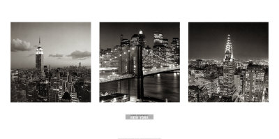 Views of New York I