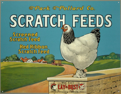 Scratch Feeds