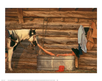Buy Nose to Toes at AllPosters.com