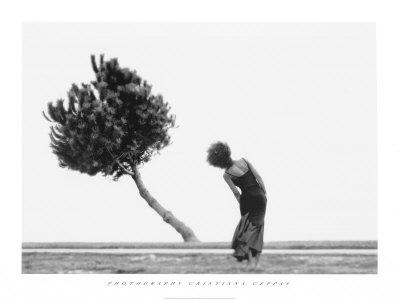 Buy The Tree at AllPosters.com