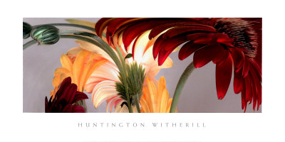 Gerbera Daisies I
