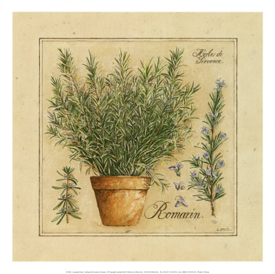 herbs de provence