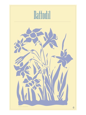 Daffodil