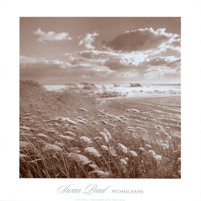 Buy Swan Pond at AllPosters.com