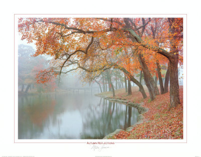 Autumn Reflections