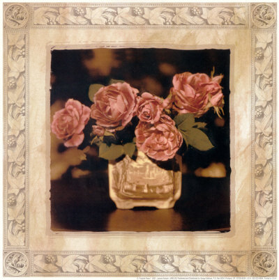 Buy English Rose I at AllPosters.com