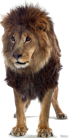 Talking Lion