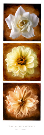 Scented Triplets