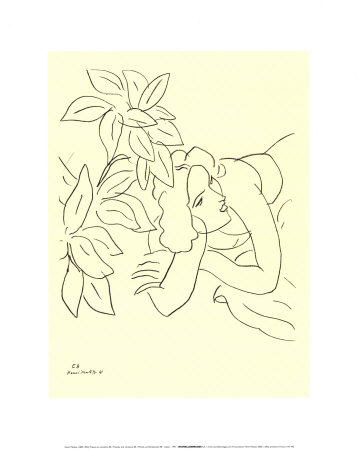 Themes and Variations
