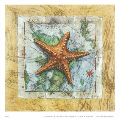 Sea Start