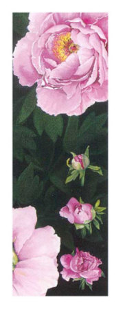 Time of Flowering II