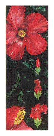 Time of Flowering III