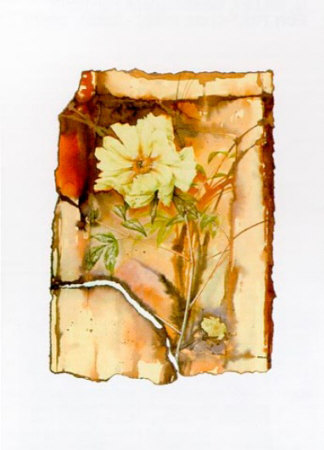 Light and Shade I