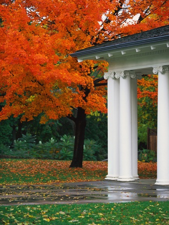 Autumn in a Milwaukee Park