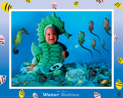 Buy Water Babies Seahorse at AllPosters.com
