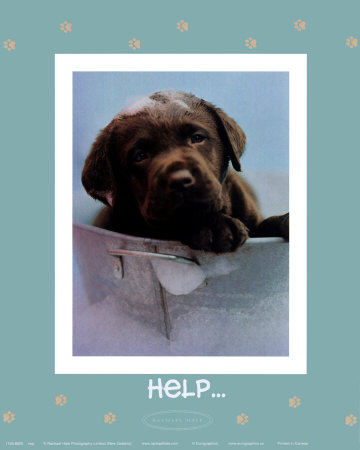 Help