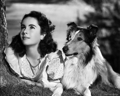 Elizabeth Taylor