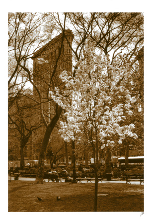 Buy Flatiron in Spring at AllPosters.com