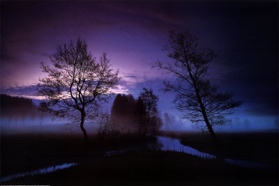 In Dreams