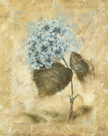 Blue Blooms II