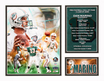 Buy Dan Marino - NFL Hall Of Fame at AllPosters.com