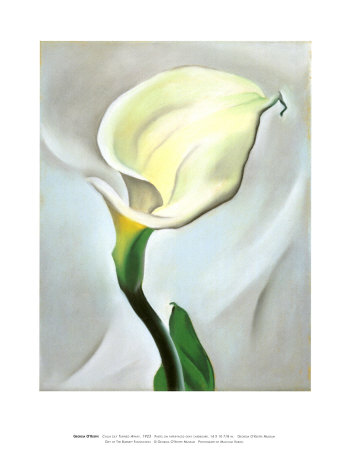 Buy Calla Lily Turned Away, 1923 at AllPosters.com