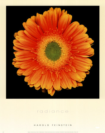 Buy Radiance at AllPosters.com