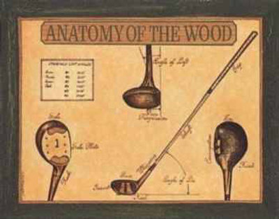 Buy Anatomy of the Wood at AllPosters.com