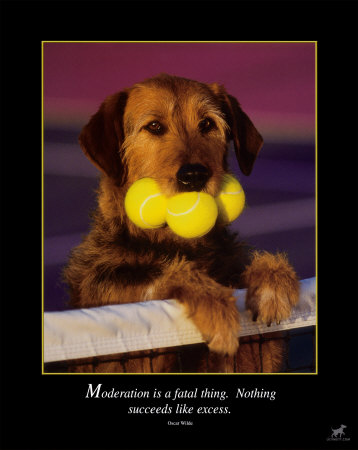 Buy Excess at AllPosters.com