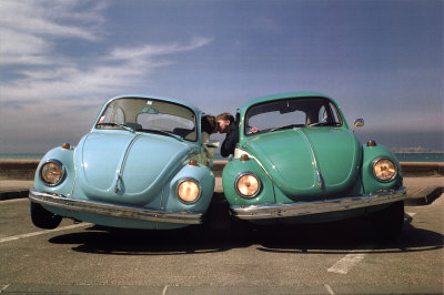 Beetles
