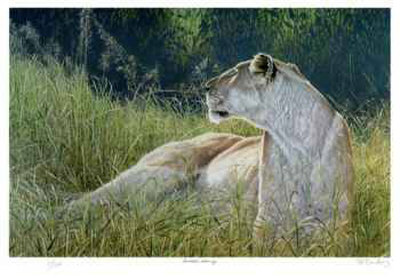 Amboseli Evening