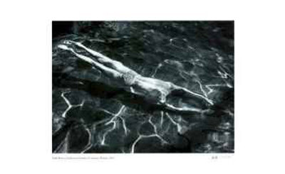 Buy Underwater Swimmer at AllPosters.com