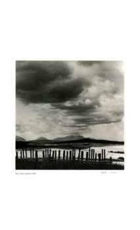 Untitled (fence)