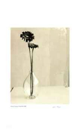 Buy Floral # 10 at AllPosters.com