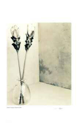 Buy Floral #3 at AllPosters.com