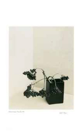 Buy Floral #5 at AllPosters.com