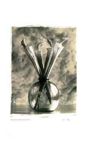 Buy Flower Vase II at AllPosters.com