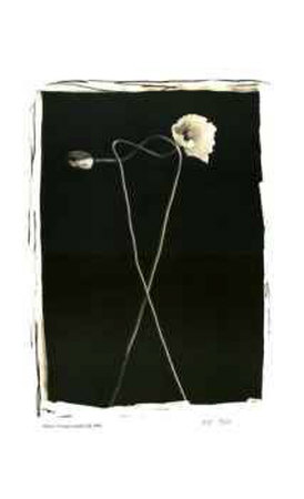 Buy Untitled II at AllPosters.com