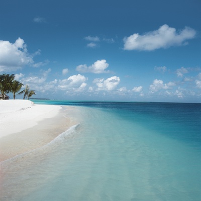 Beach and Surf