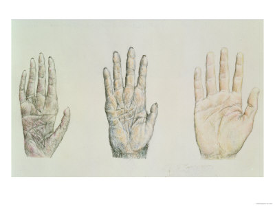 Hands of a Primate and a Human