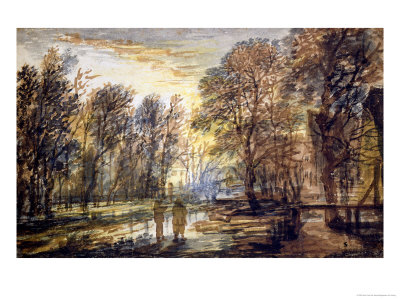 Sunset in the Wood
