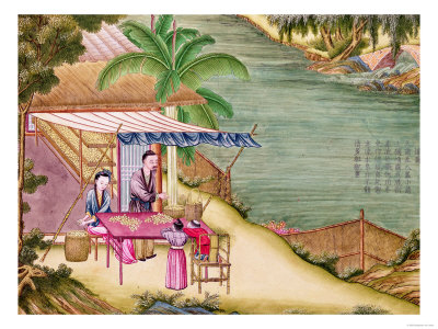 Sorting the Cocoons, from a Book on the Silk Industry