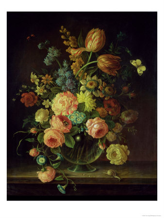 Still Life
