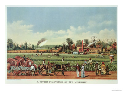 A Cotton Plantation on the Mississippi, the Harvest, 1884